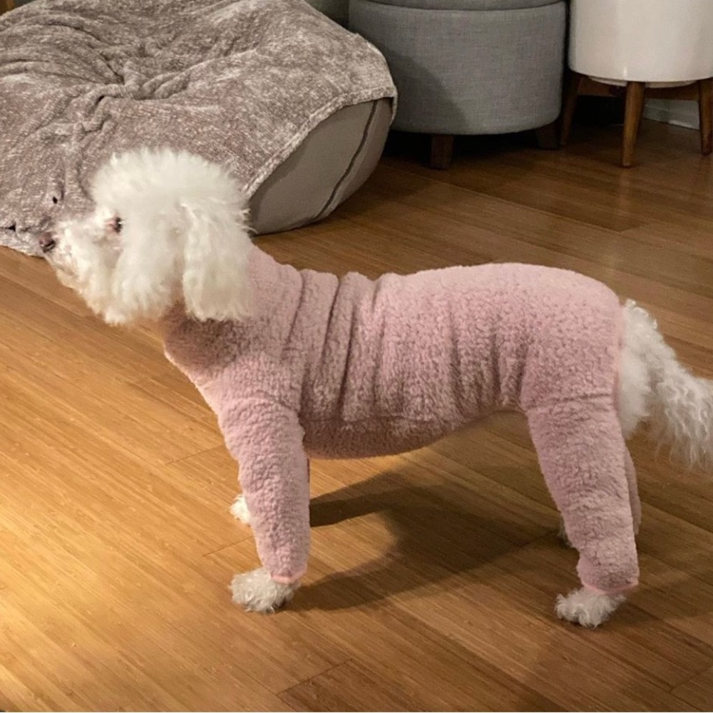 Little beast dog onesie sweater - light pink cotton candy
